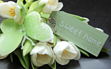 Картинка цветы тюльпаны бабочка табличка ключ