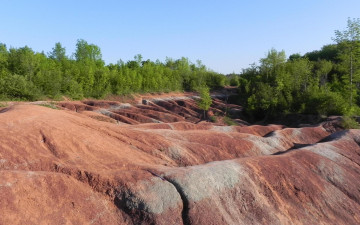 Картинка природа пейзажи деревья скалы лес