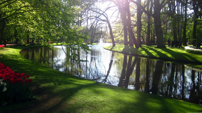 Обои картинки фото природа, парк, отражение, клумбы, тюльпаны, весна, водоем