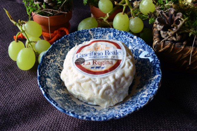 Обои картинки фото еда, сырные изделия, сыр