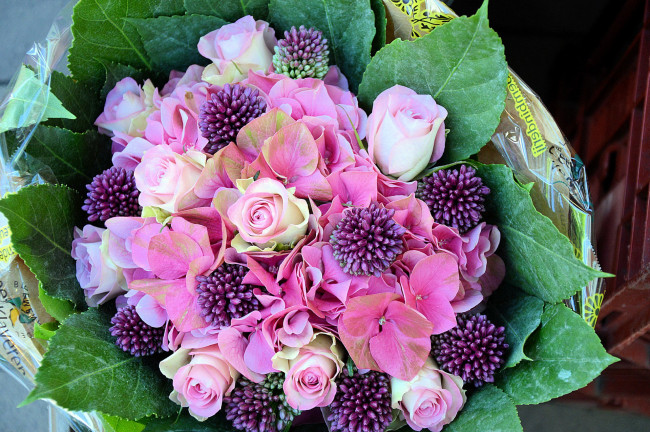 Обои картинки фото цветы, букеты,  композиции, гортензия, розы