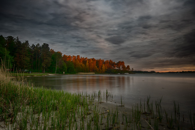 Обои картинки фото природа, реки, озера, река, лес