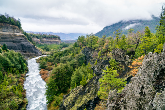 Обои картинки фото природа, реки, озера, река, лес