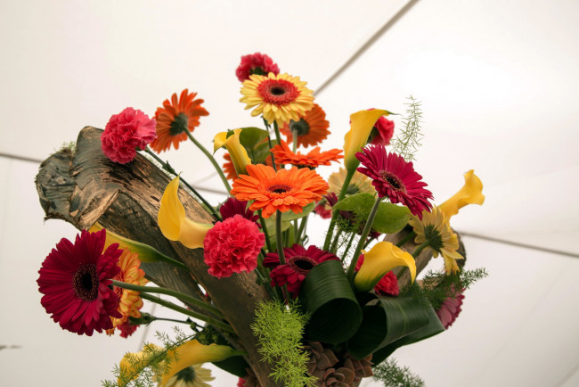 Обои картинки фото цветы, букеты,  композиции, герберы, гвоздики, каллы