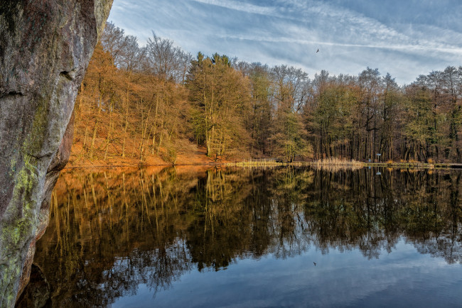 Обои картинки фото природа, реки, озера, лес, река