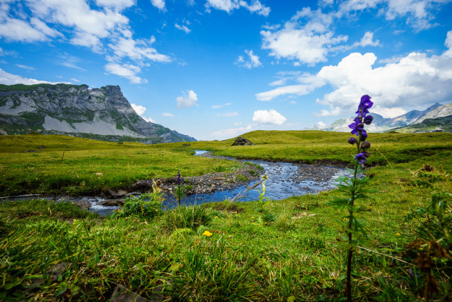 Обои картинки фото природа, реки, озера, река, лес