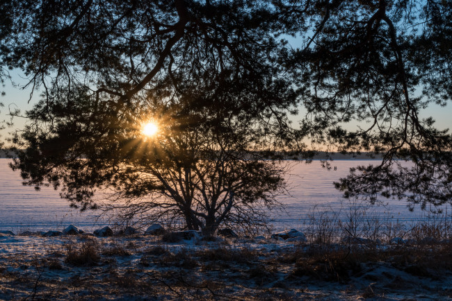 Обои картинки фото природа, реки, озера, река, лес