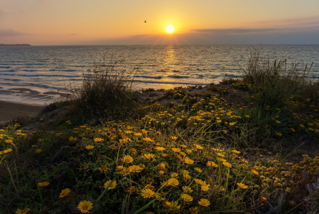 Обои картинки фото природа, восходы, закаты, рассвет