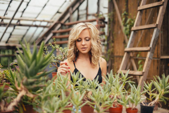 обоя девушка, девушки, -unsort , блондинки,  светловолосые, модель