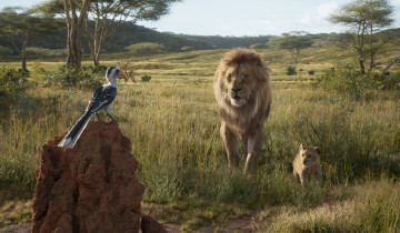 Картинка кино+фильмы the+lion+king+ 2019 the lion king