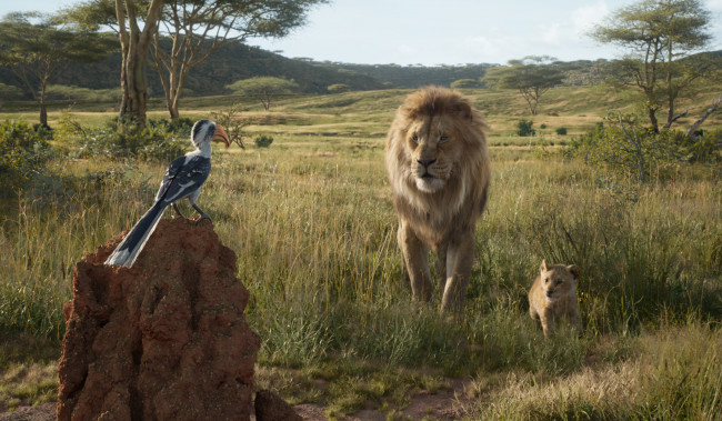 Обои картинки фото кино фильмы, the lion king , 2019, the, lion, king