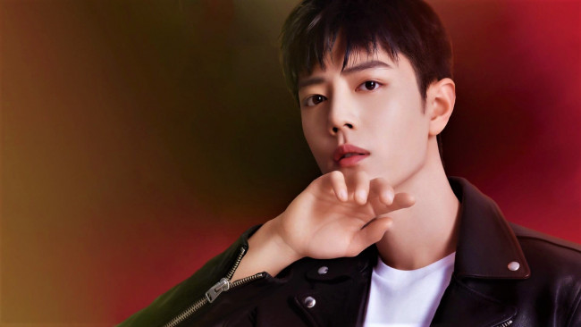 Обои картинки фото мужчины, xiao zhan, актер, куртка