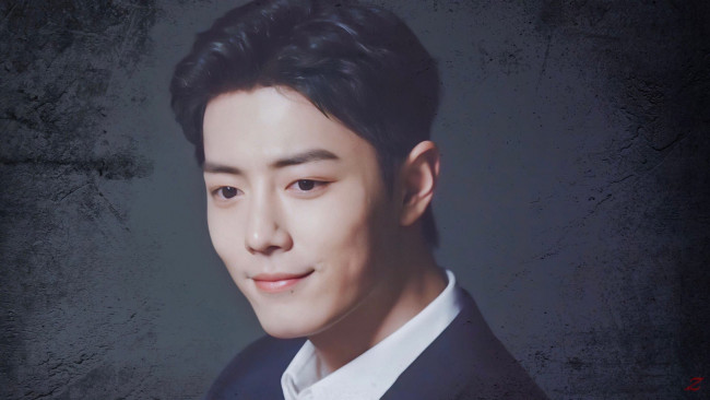 Обои картинки фото мужчины, xiao zhan, актер, лицо