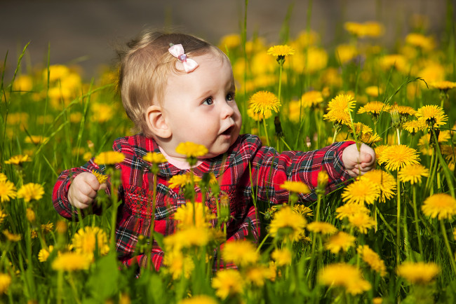 Обои картинки фото разное, дети, ребенок, рубашка, одуванчики