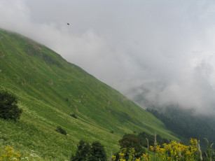 Картинка природа