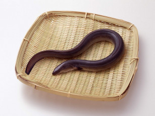 Картинка еда рыба морепродукты суши роллы