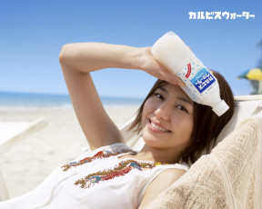 обоя calpis, бренды