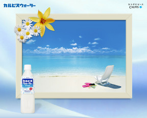 Картинка calpis бренды