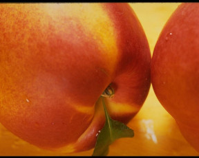 обоя еда, персики, сливы, абрикосы