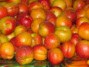 Картинка еда персики сливы абрикосы