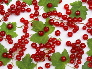 Картинка еда смородина