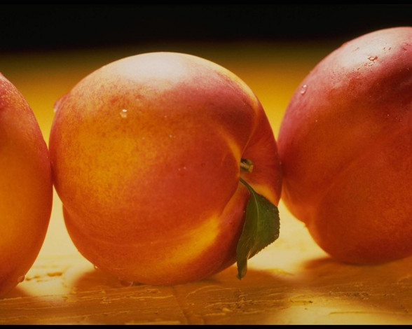 Обои картинки фото еда, персики, сливы, абрикосы