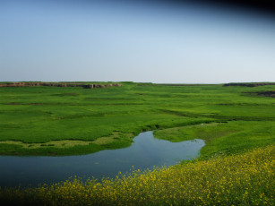 Картинка природа луга