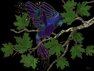 Картинка 3д графика animals животные ветка попугай