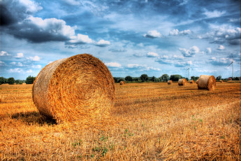 Картинка природа поля поле солома