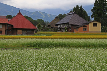 Картинка разное сооружения постройки дома горы