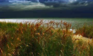 Картинка природа побережье горизонт трава берег тучи океан сумрак
