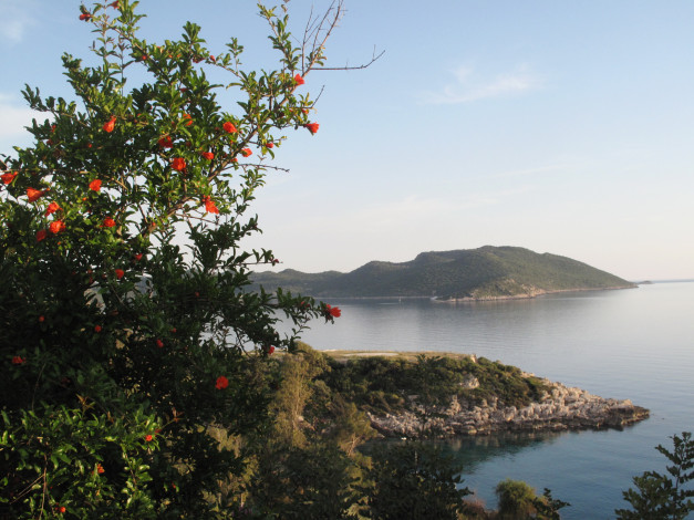 Обои картинки фото турция, природа, реки, озера, река, кусты, берег