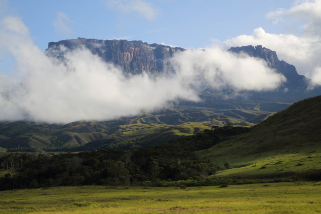 Обои картинки фото венесуэла, природа, горы, лес, дымка
