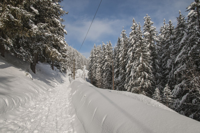 Обои картинки фото природа, зима, тропа, снег, ели