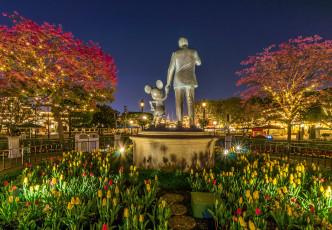 Картинка города диснейленд парк ночь