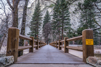 Картинка природа дороги деревья мостик