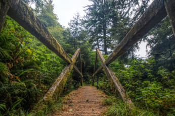 Картинка природа дороги тропинка мостик