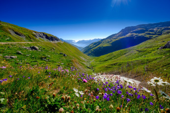 Картинка природа луга цветы межгорье