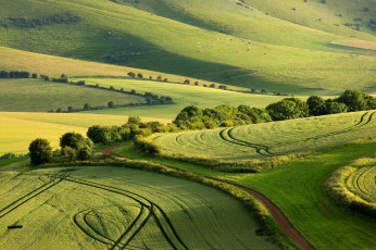 Картинка природа поля лето графство суссекс south downs national park англия