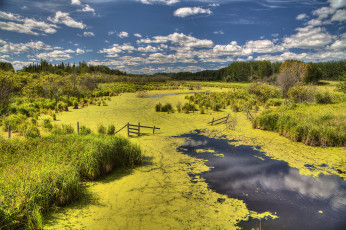 Картинка природа реки озера лес река