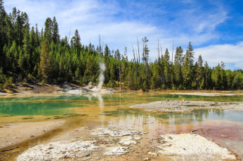 Картинка природа реки озера лес река