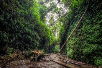 Картинка природа реки озера лес река