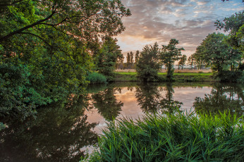 Картинка природа реки озера река лес