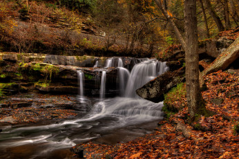Картинка природа водопады лес река водопад