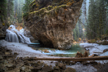 Картинка природа водопады лес река водопад скала