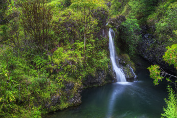 Картинка природа водопады водопад река лес