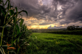 Картинка природа восходы закаты тучи поле лес