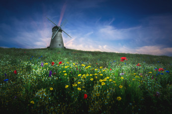 Картинка разное мельницы луг ветряк мельница