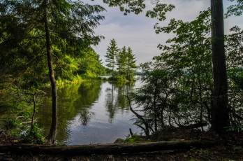 Картинка природа реки озера река лес