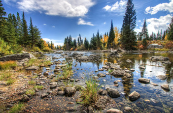 Картинка природа реки озера лес река